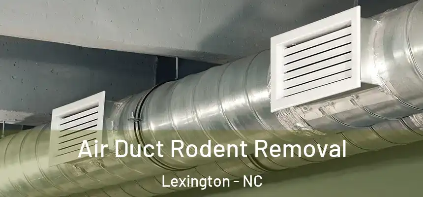 Air Duct Rodent Removal Lexington - NC