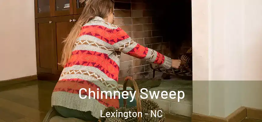  Chimney Sweep Lexington - NC