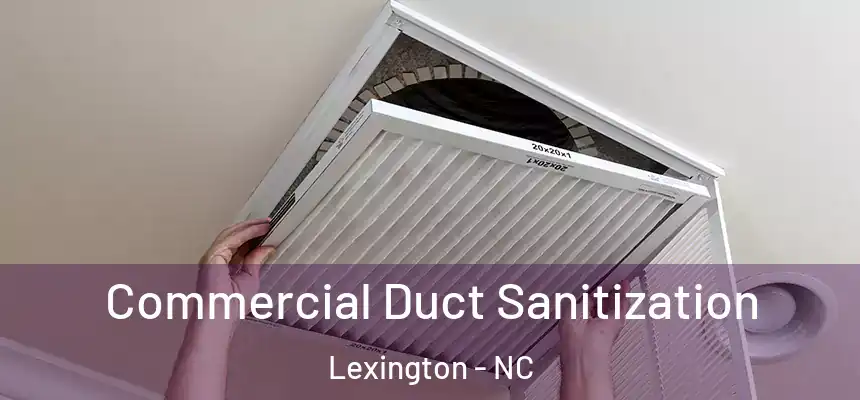 Commercial Duct Sanitization Lexington - NC