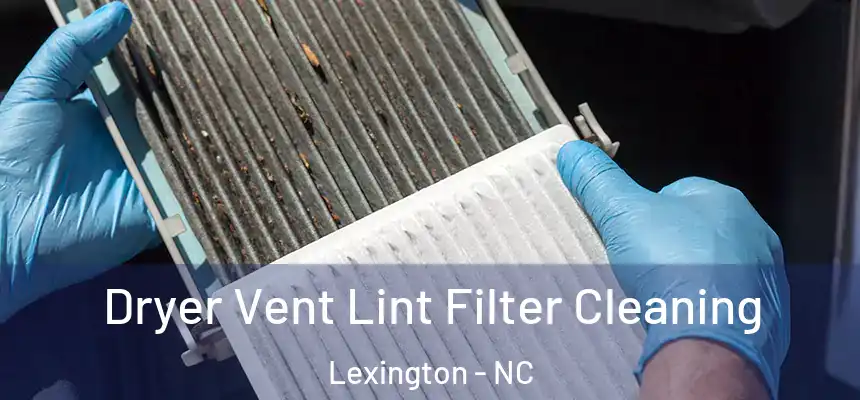Dryer Vent Lint Filter Cleaning Lexington - NC