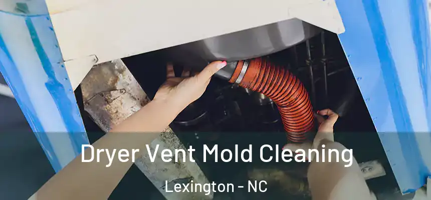 Dryer Vent Mold Cleaning Lexington - NC