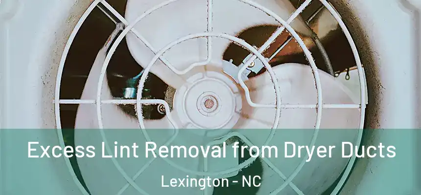 Excess Lint Removal from Dryer Ducts Lexington - NC
