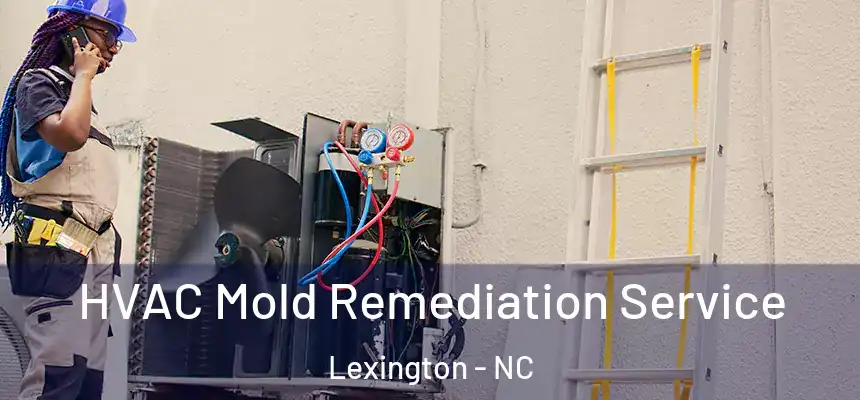 HVAC Mold Remediation Service Lexington - NC