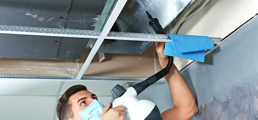Our Air Duct Rodent Removal Services in Lexington, NC