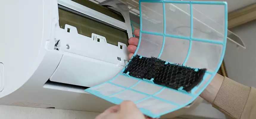 Gentle Ductwork Odor-Control Pet Dander Duct Cleaning in Lexington, NC