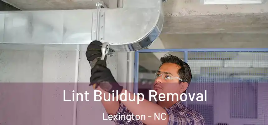 Lint Buildup Removal Lexington - NC