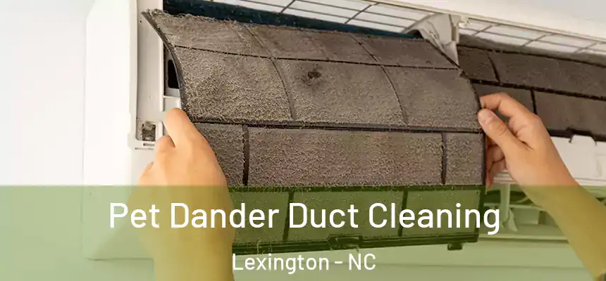 Pet Dander Duct Cleaning Lexington - NC