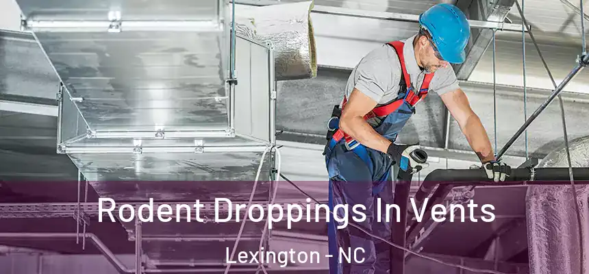 Rodent Droppings In Vents Lexington - NC