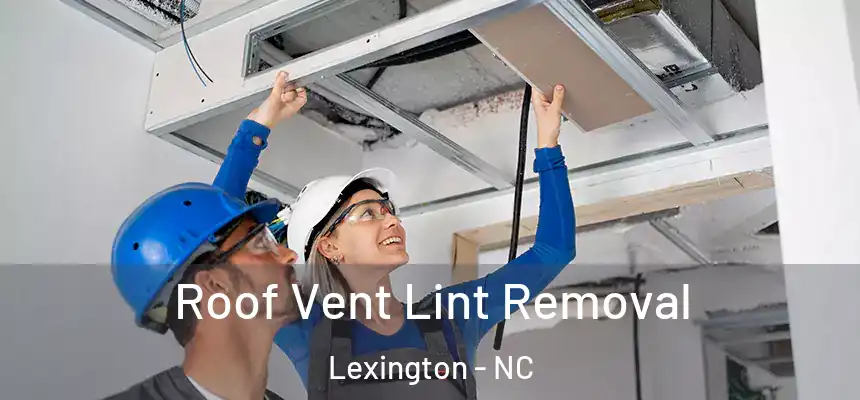 Roof Vent Lint Removal Lexington - NC