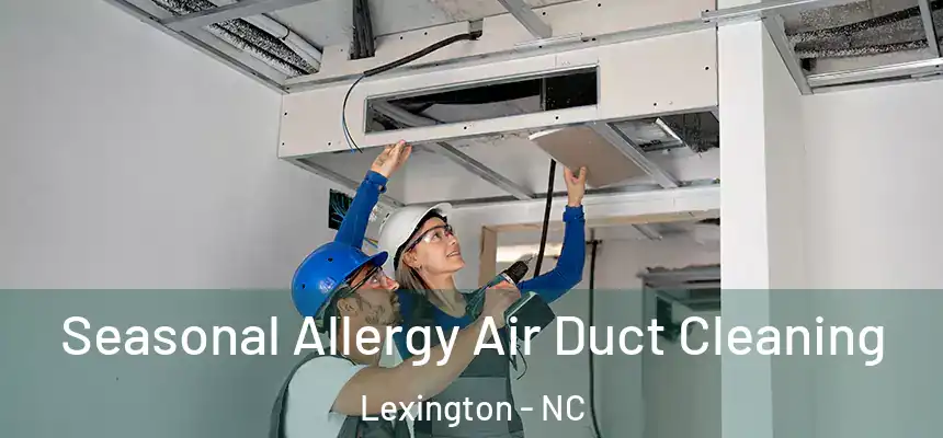  Seasonal Allergy Air Duct Cleaning Lexington - NC