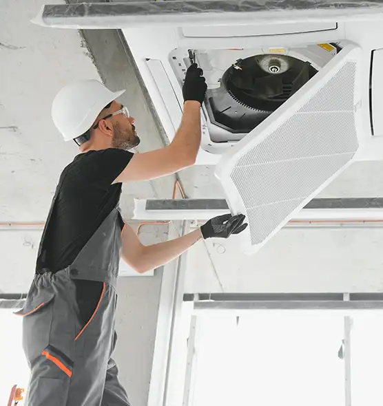 About Air Duct Rodent Removal in Lexington, NC