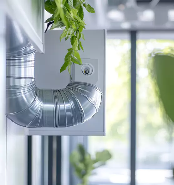 Professional Eco-Friendly Duct Cleaning Services in Lexington, NC