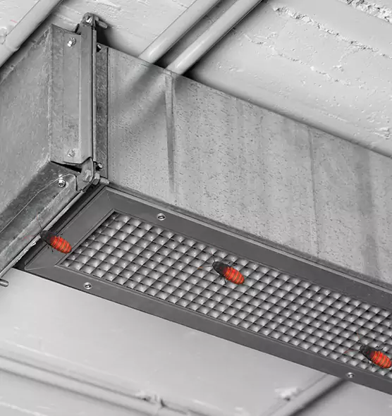 Affordable Insect Removal from Air Ducts in Lexington, NC