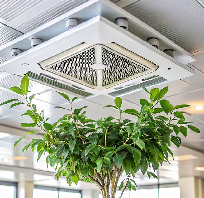 Why Homeowners & Businesses Trust Us in Lexington, NC?