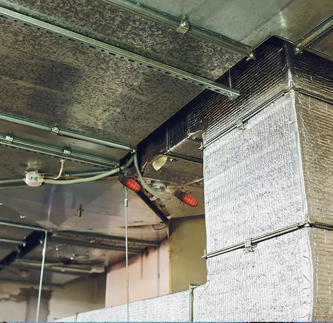 Why Homeowners & Businesses Trust Us Lexington, NC?